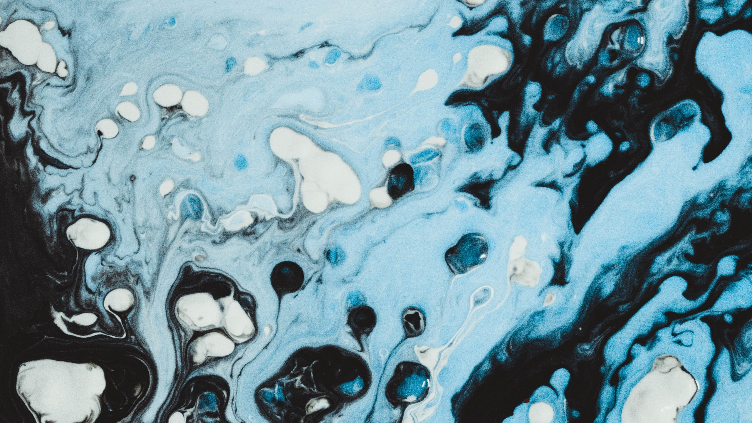 Éclaboussures D'eau Bleue et Blanche. Wallpaper in 2560x1440 Resolution