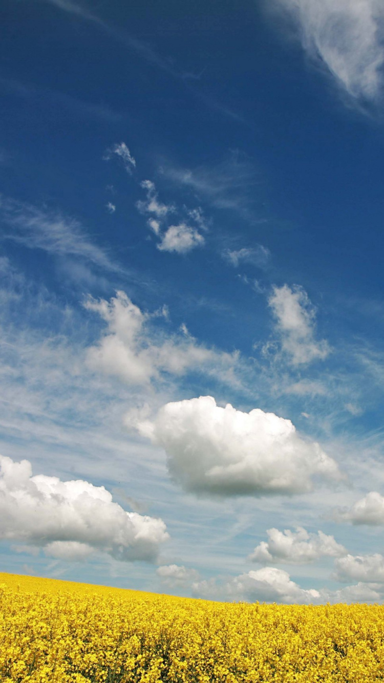 Nubes Blancas y Cielo Azul Durante el Día. Wallpaper in 750x1334 Resolution