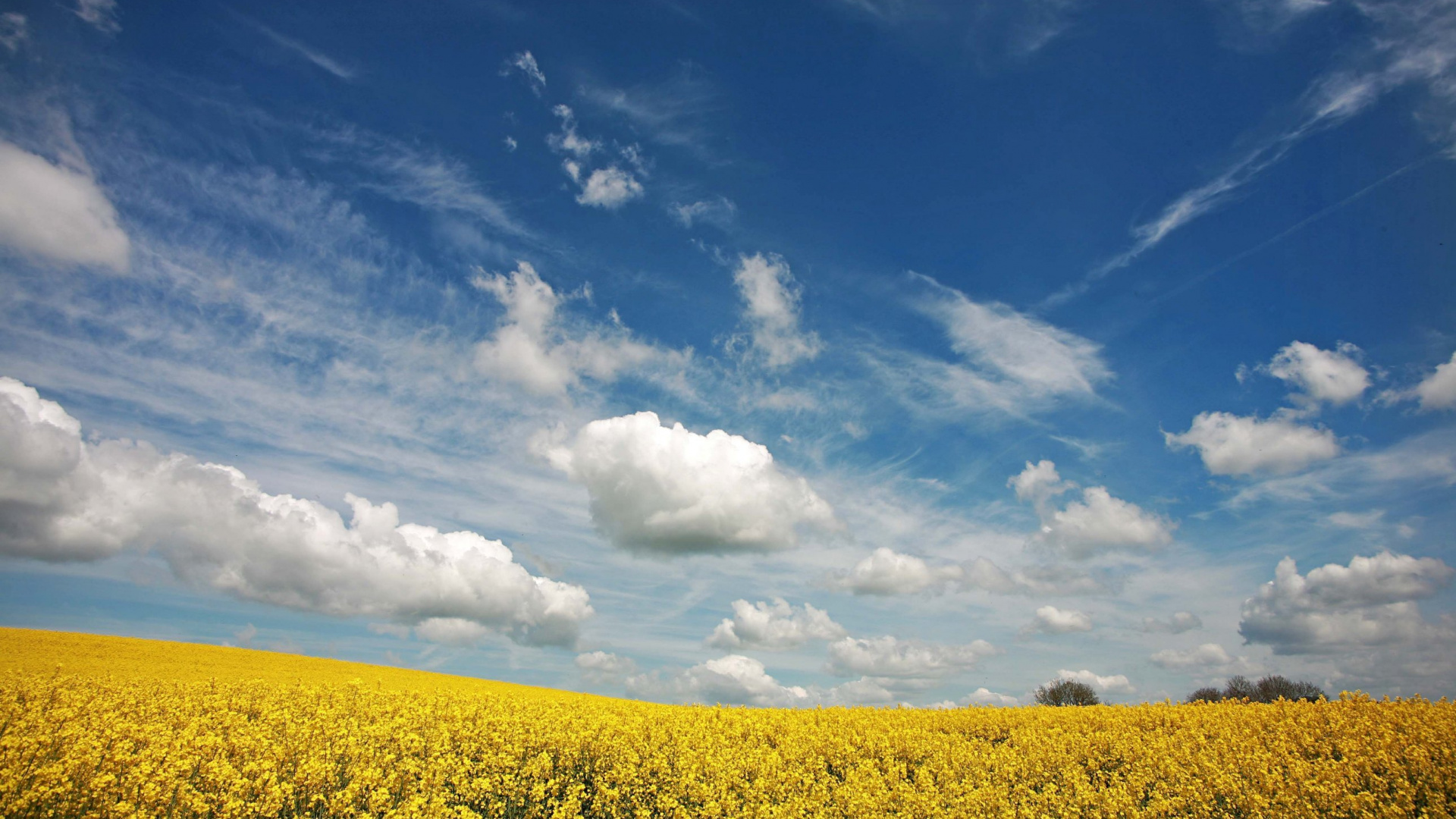Weiße Wolken Und Blauer Himmel Tagsüber. Wallpaper in 1920x1080 Resolution