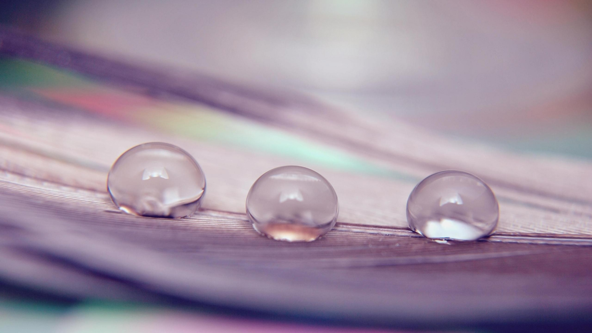 Gouttelettes D'eau Sur Une Surface Violette. Wallpaper in 1920x1080 Resolution
