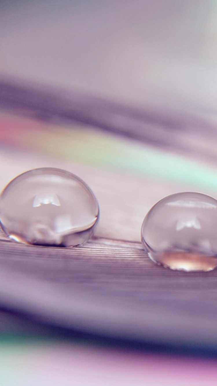 Gouttelettes D'eau Sur Une Surface Violette. Wallpaper in 750x1334 Resolution