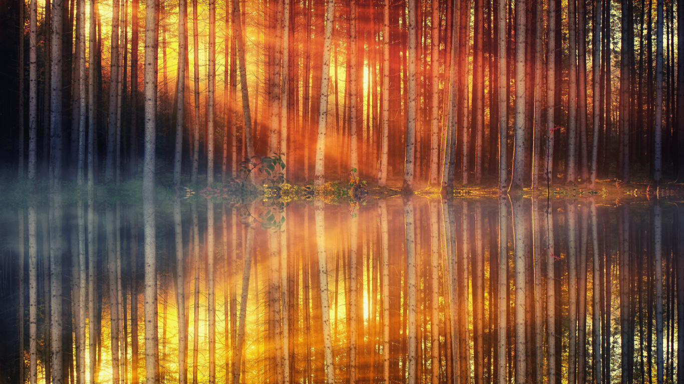 Reflexion, Orange, Gelb, Sonnenlicht, Wasser. Wallpaper in 1366x768 Resolution