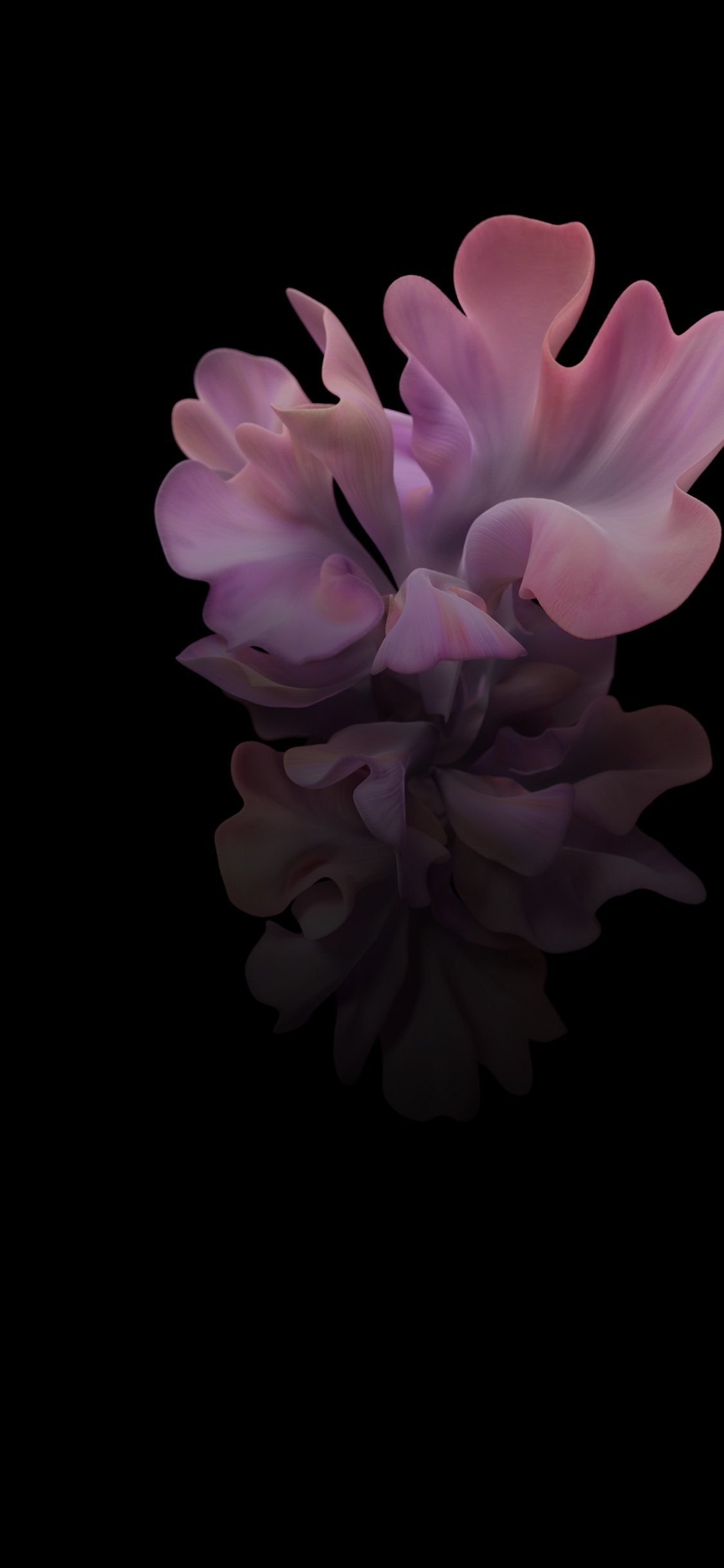 Samsung Galaxy, Samsung, Samsung Galaxy Z Flip, Smartphone, Foldable Smartphone. Wallpaper in 1125x2436 Resolution