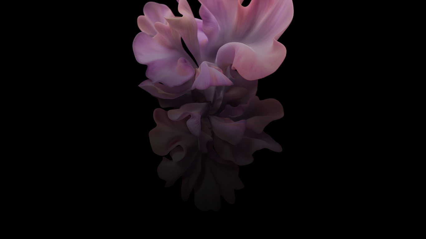 Samsung Galaxy, Samsung, Samsung Galaxy Z Flip, Smartphone, Foldable Smartphone. Wallpaper in 1366x768 Resolution