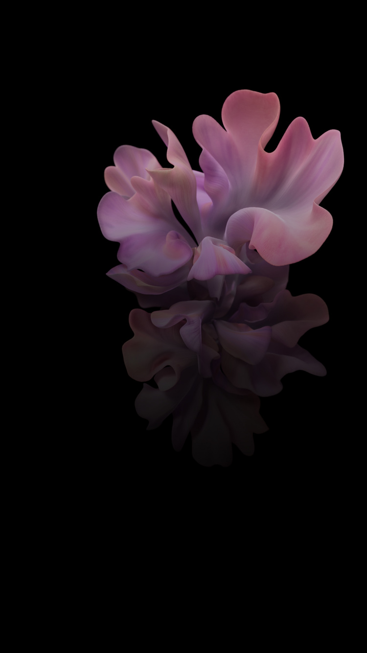 Samsung Galaxy, Samsung, Samsung Galaxy Z Flip, Smartphone, Foldable Smartphone. Wallpaper in 750x1334 Resolution