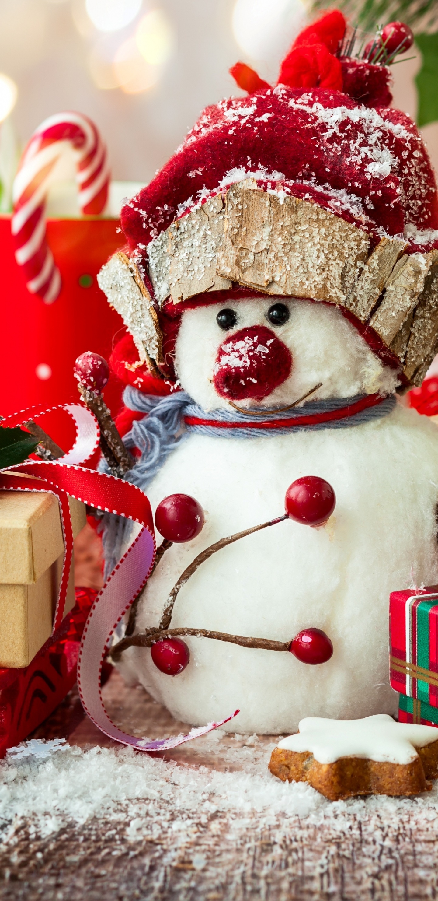 Christmas Day, Christmas Decoration, Christmas Tree, Christmas Ornament, Santa Claus. Wallpaper in 1440x2960 Resolution