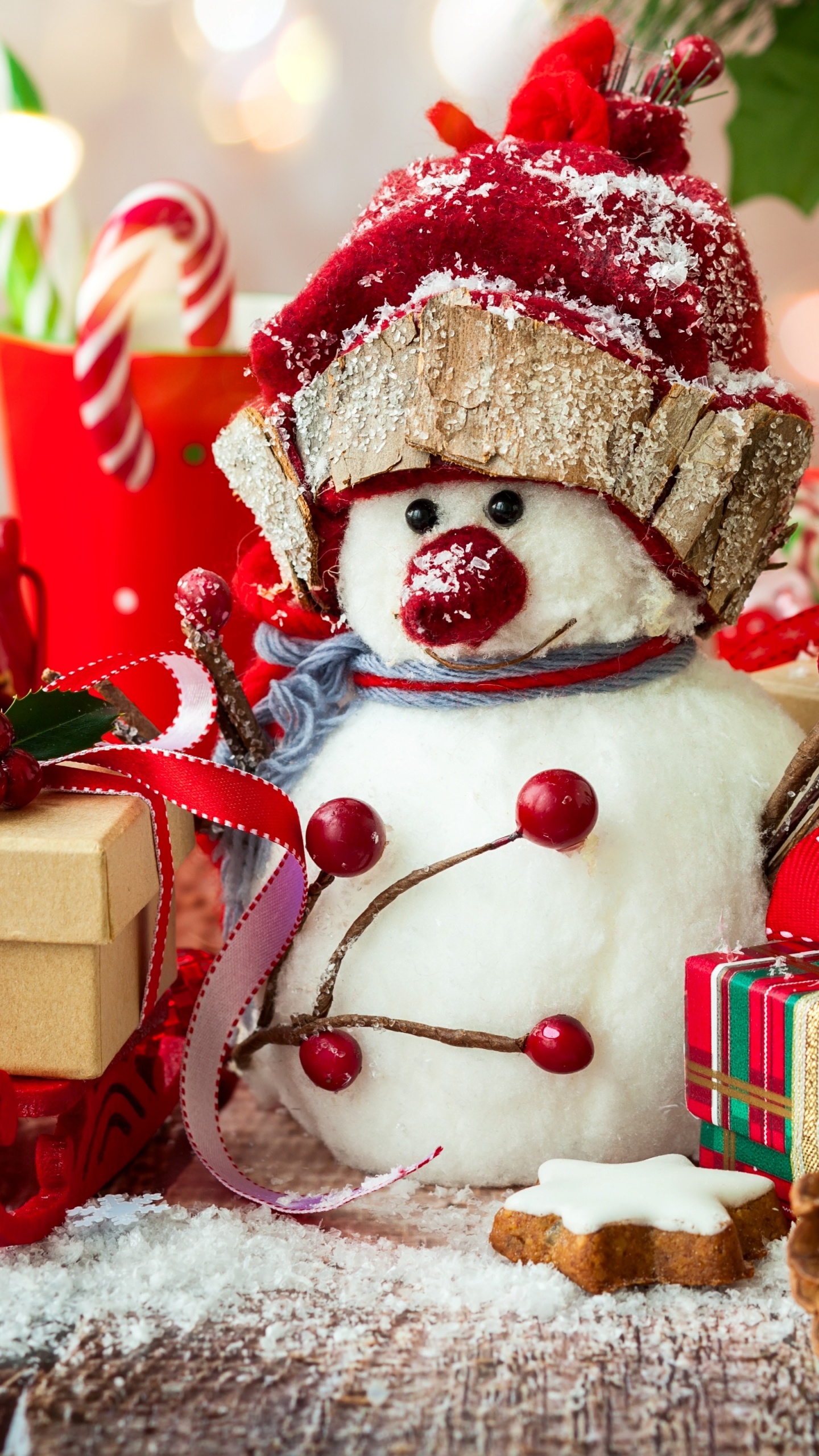 Weihnachten, Weihnachtsdekoration, Weihnachtsbaum, Christmas Ornament, Weihnachtsmann. Wallpaper in 1440x2560 Resolution