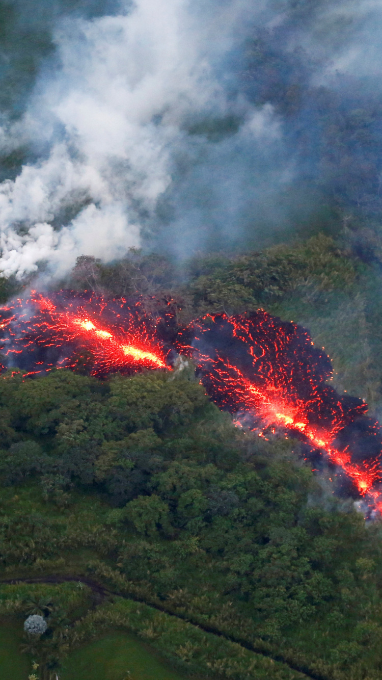 Green Grass Field With White Clouds. Wallpaper in 750x1334 Resolution