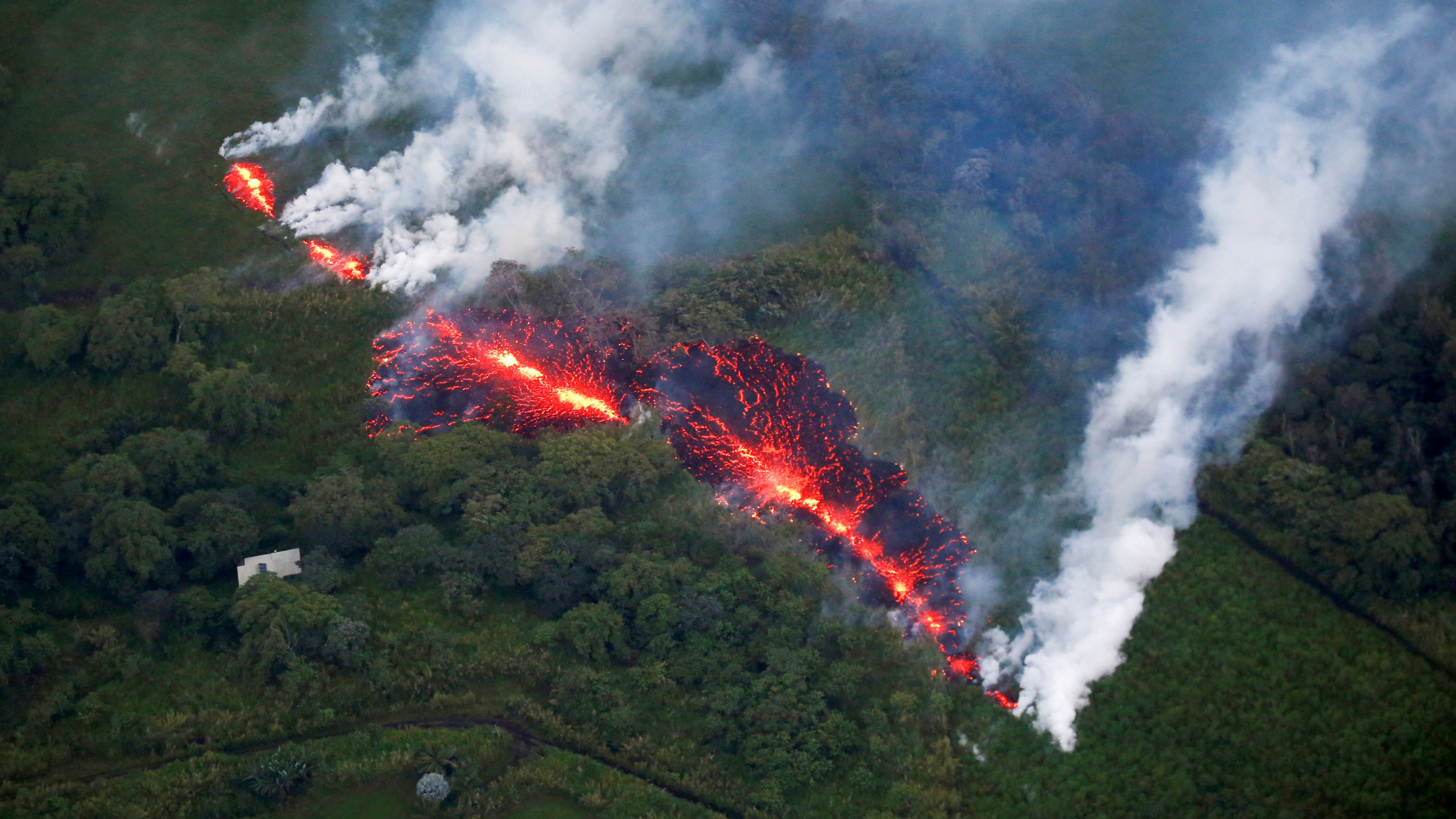 Grüne Wiese Mit Weißen Wolken. Wallpaper in 2560x1440 Resolution