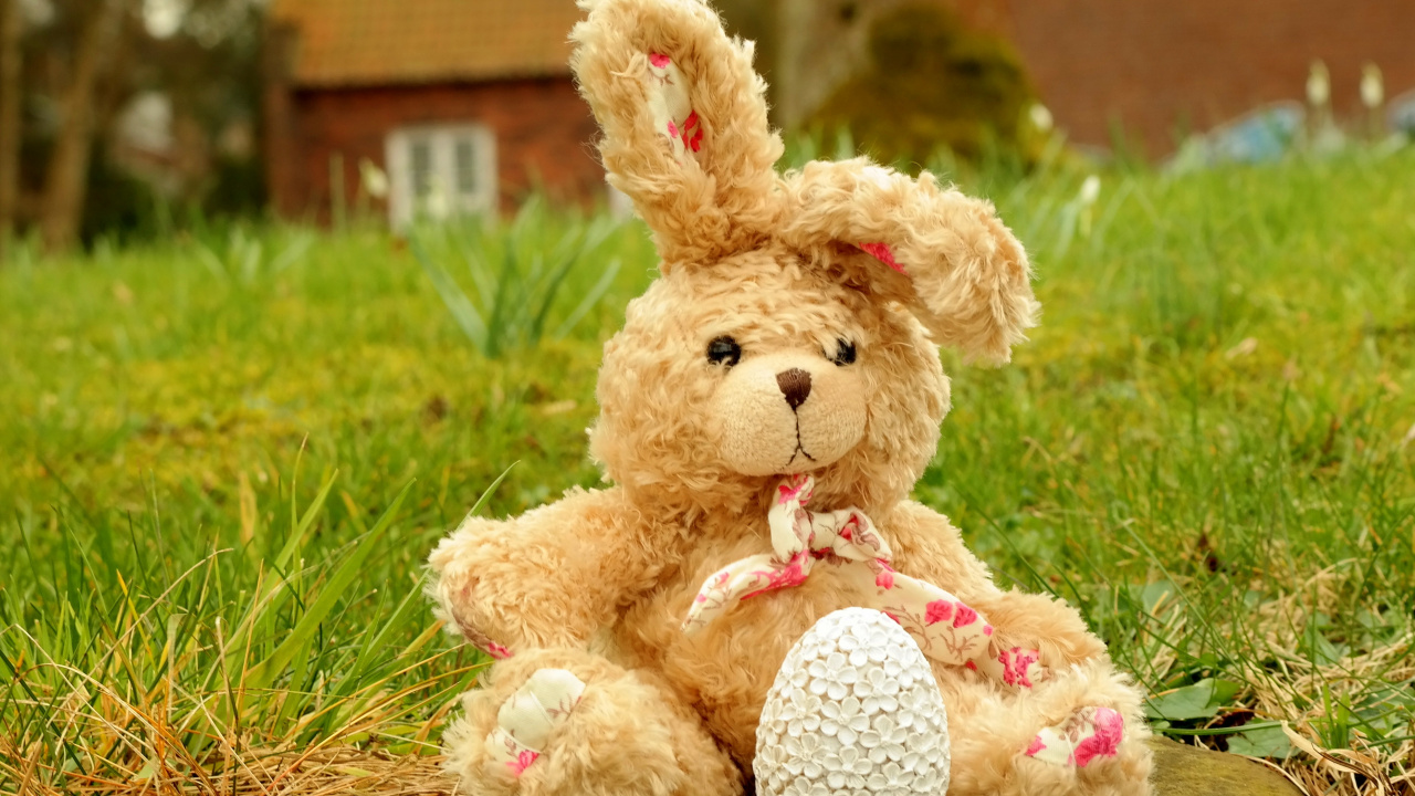 Jouet en Peluche, Lapin, Nounours, Pink, Peluche. Wallpaper in 1280x720 Resolution