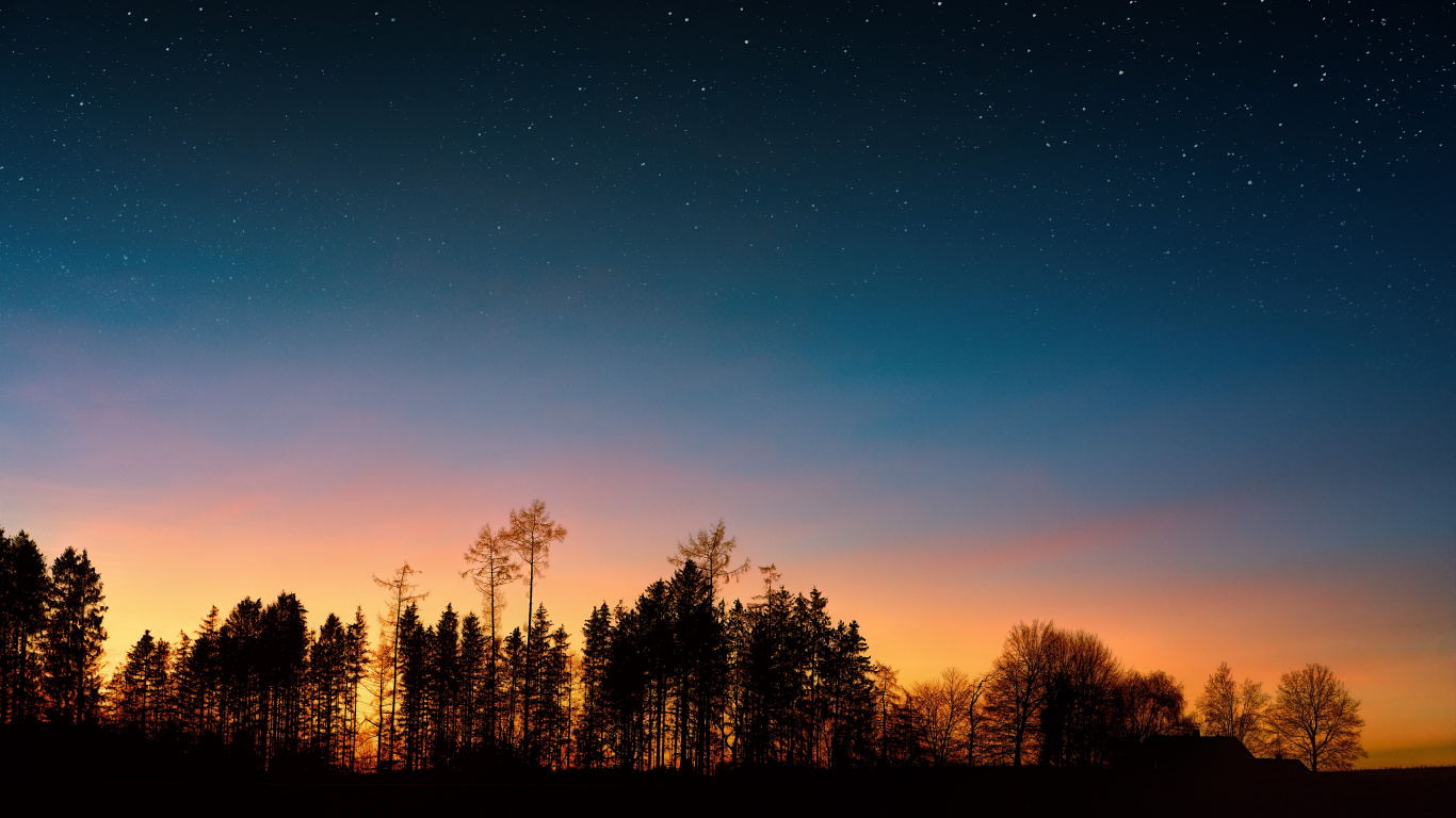Nachthimmel, Sonnenuntergang, Baum, Nacht, Natur. Wallpaper in 1366x768 Resolution
