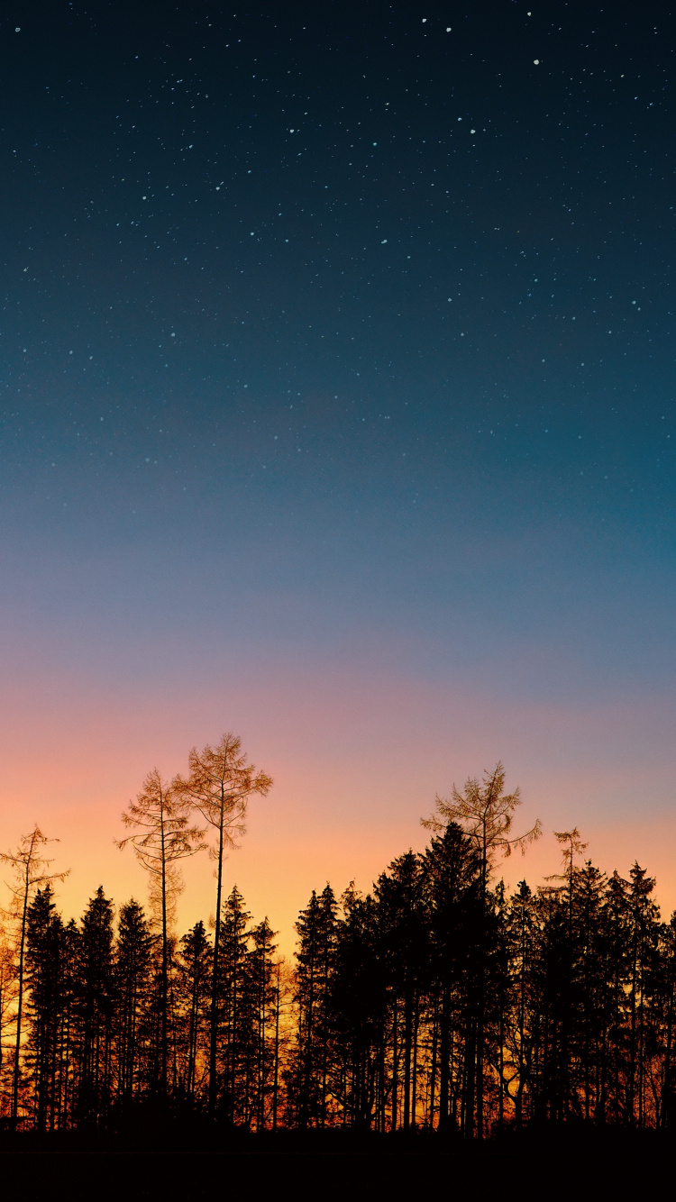 Nachthimmel, Sonnenuntergang, Baum, Nacht, Natur. Wallpaper in 750x1334 Resolution