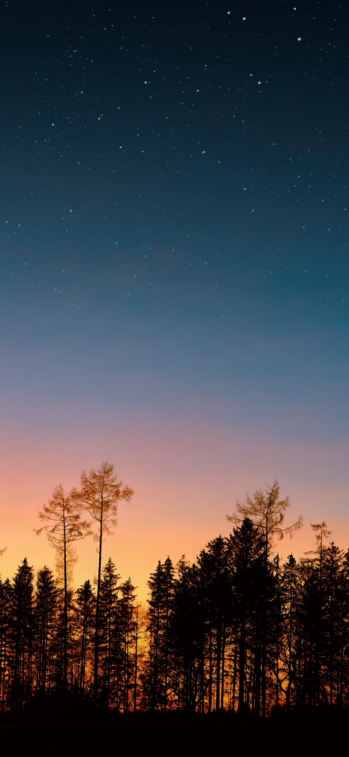 夜晚的天空, 日落, 性质, 自然景观, 气氛 壁纸 1125x2436 允许
