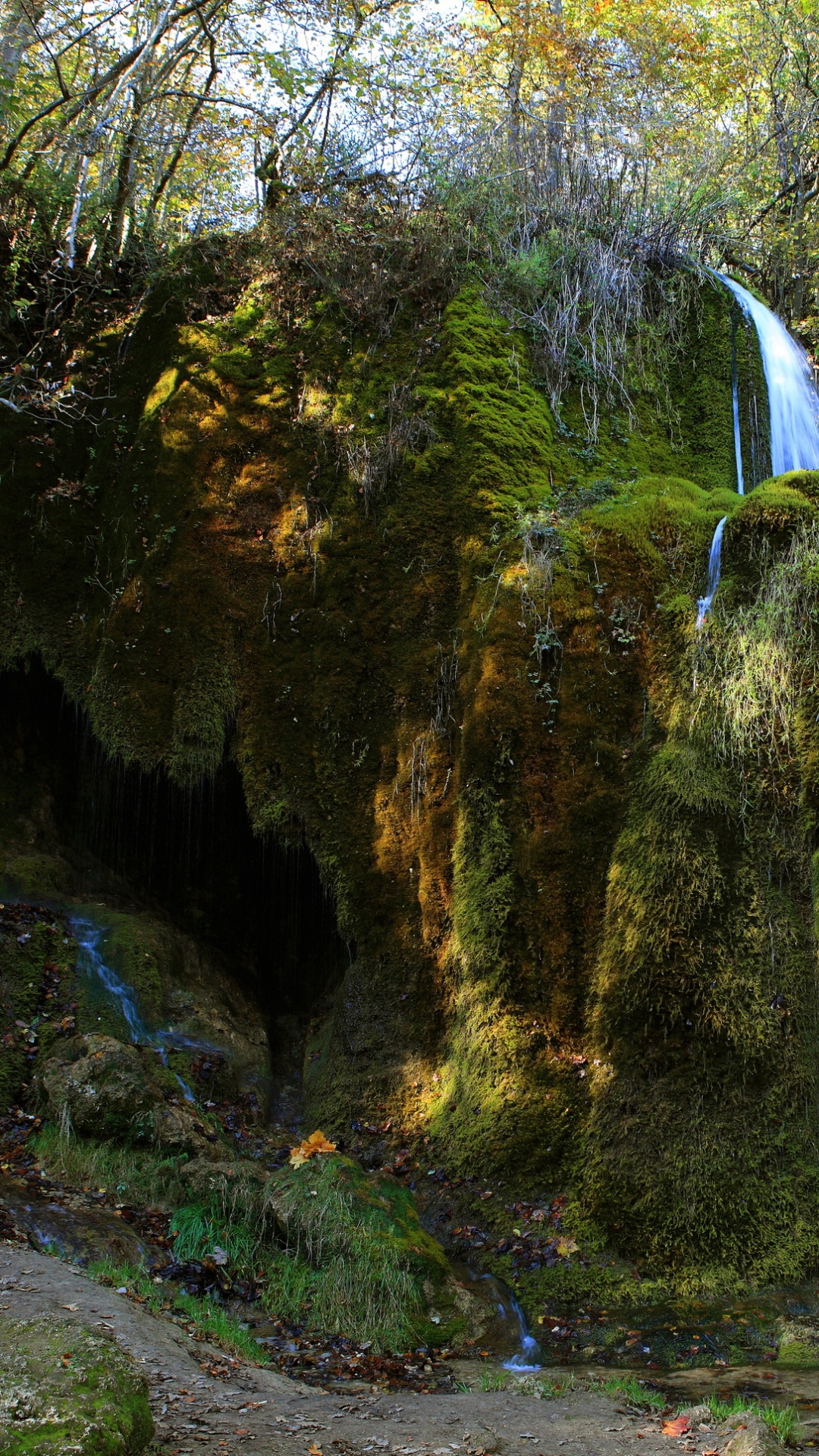 Cascades au Milieu de la Forêt. Wallpaper in 1080x1920 Resolution