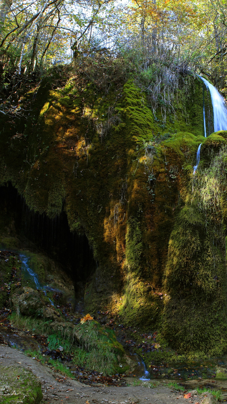 Cascades au Milieu de la Forêt. Wallpaper in 750x1334 Resolution