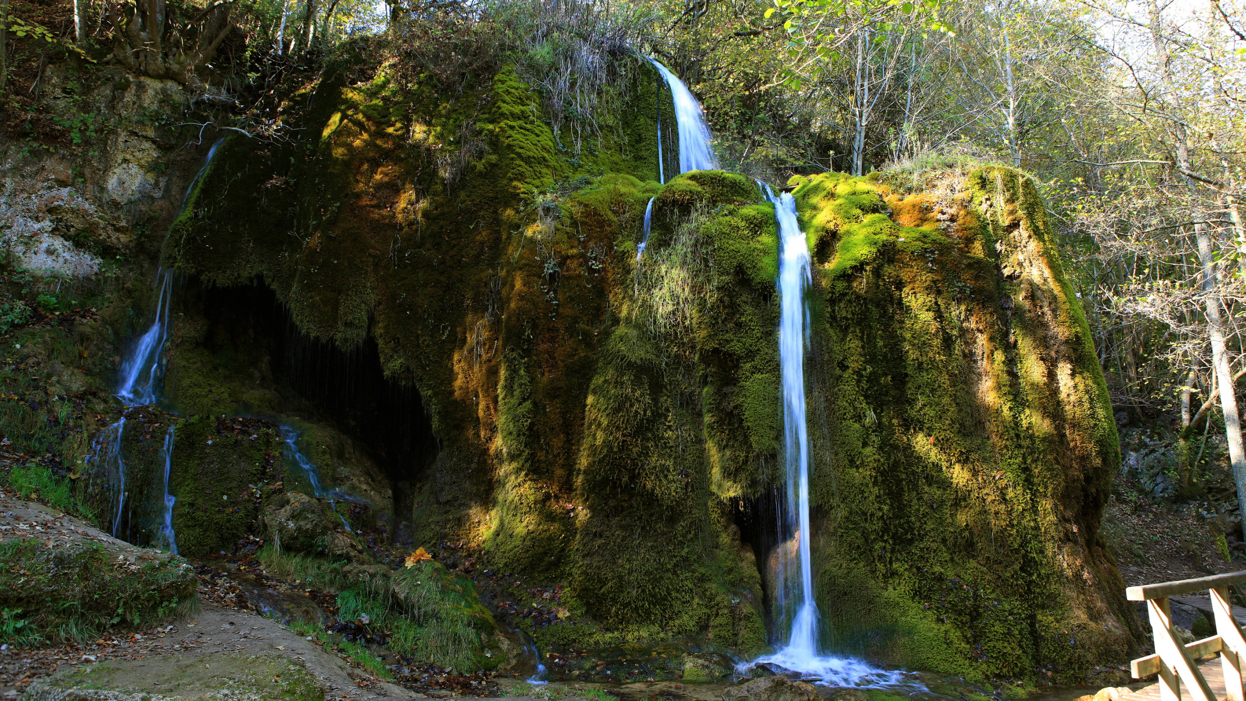 Waterfalls in The Middle of The Forest. Wallpaper in 2560x1440 Resolution