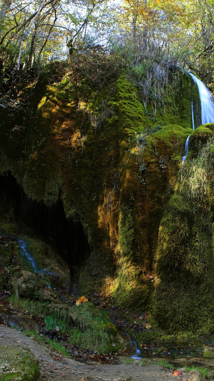 Waterfalls in The Middle of The Forest. Wallpaper in 720x1280 Resolution