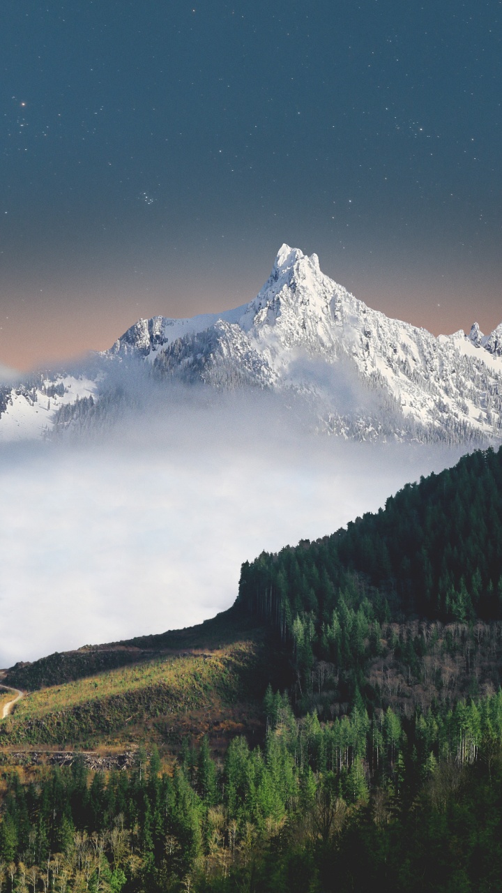 Largo di Torre Argentina, Cloud, Atmosphere, Mountain, Ecoregion. Wallpaper in 720x1280 Resolution