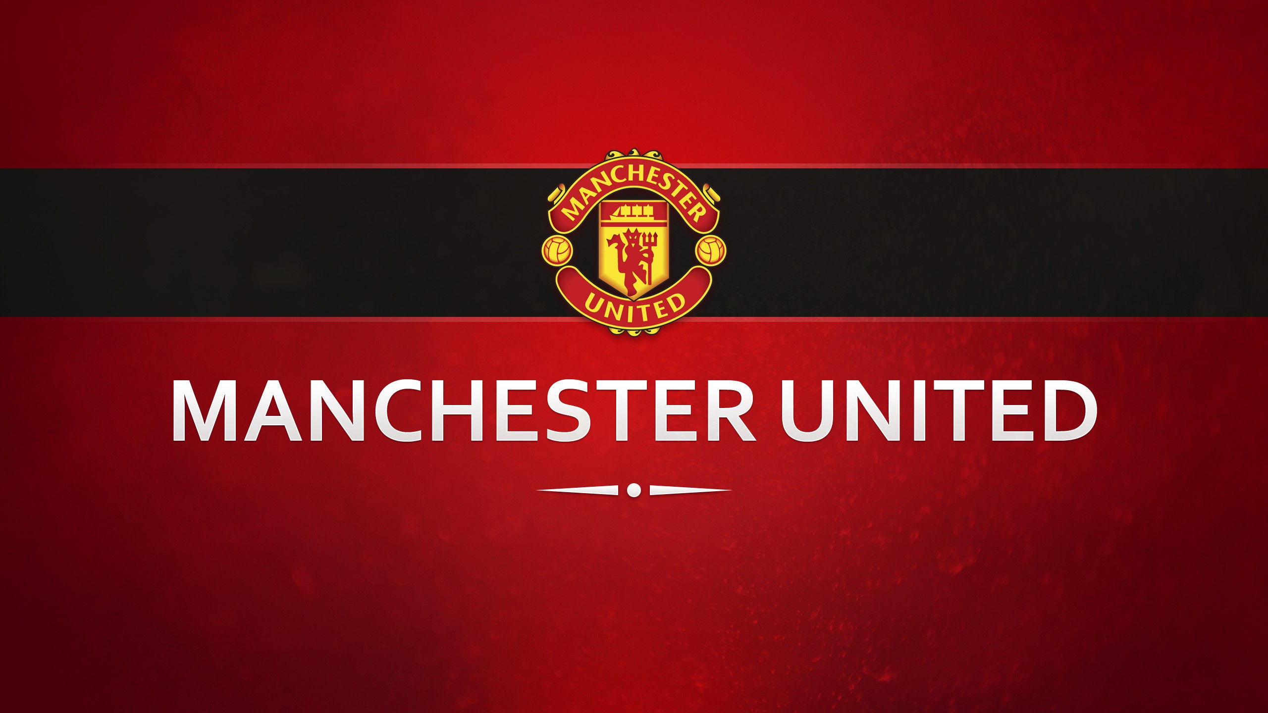 Manchester United f c, Firmenzeichen, Text, Emblem, Flagge. Wallpaper in 2560x1440 Resolution