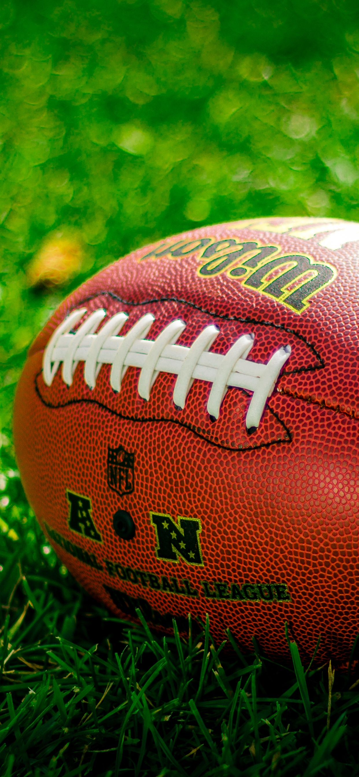 Ball, Fußball, Gras, Sports Venue, Seattle Seahawks. Wallpaper in 1242x2688 Resolution