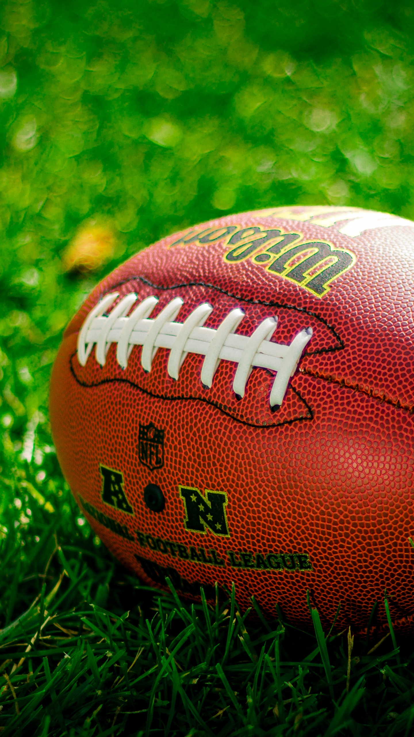 Ball, Grasses, National Football Conference, Soccer Ball, Grass. Wallpaper in 1440x2560 Resolution