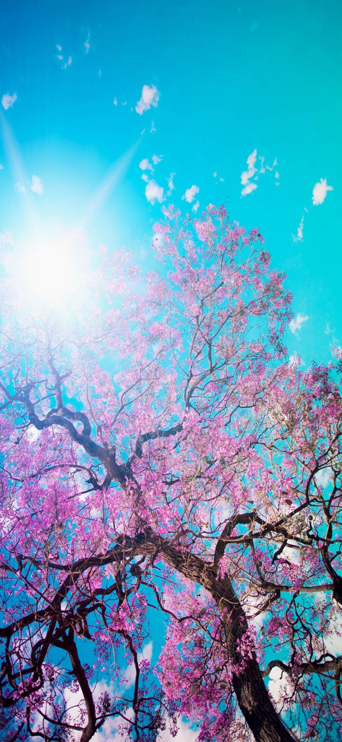 Frigo, Porte, Autocollant, Fenêtre, Blue. Wallpaper in 1125x2436 Resolution