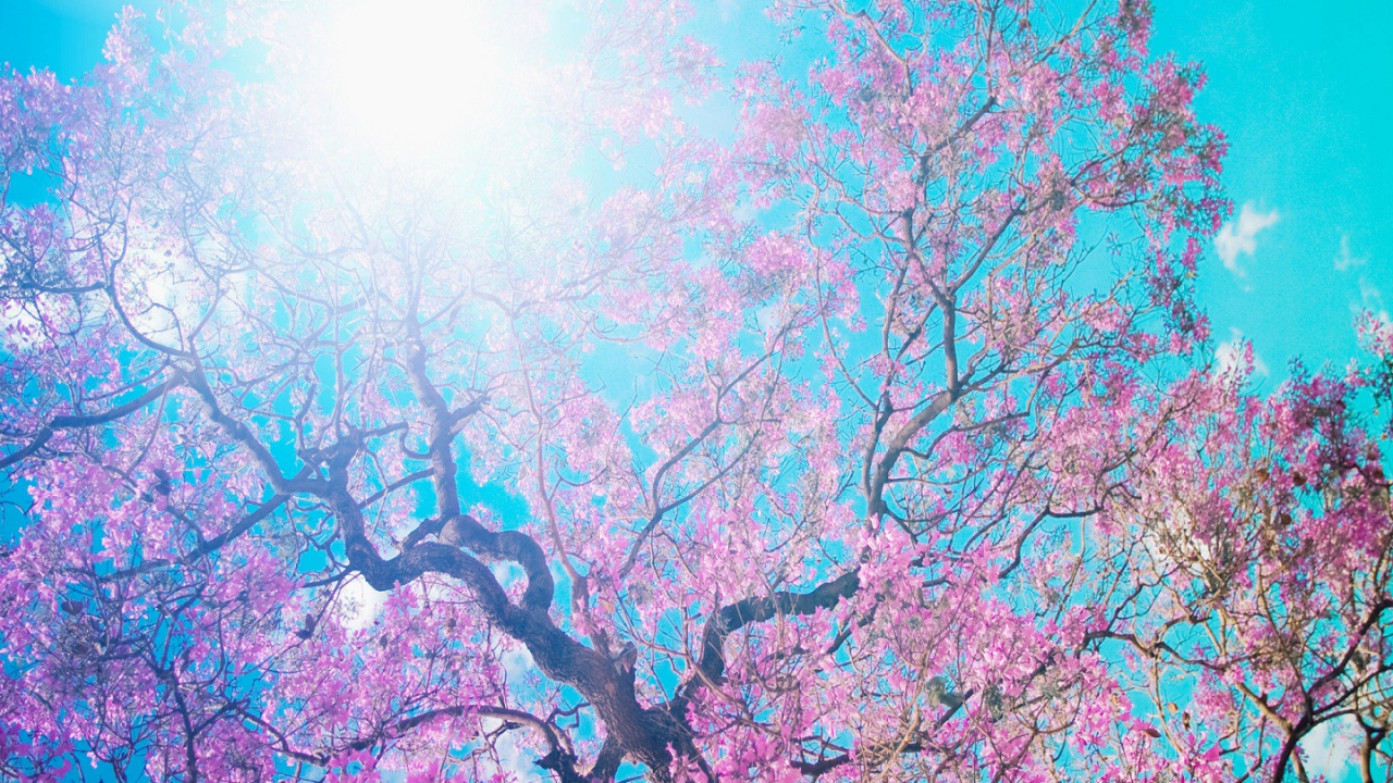 Kühlschrank, Tür, Aufkleber, Fenster, Blau. Wallpaper in 1280x720 Resolution