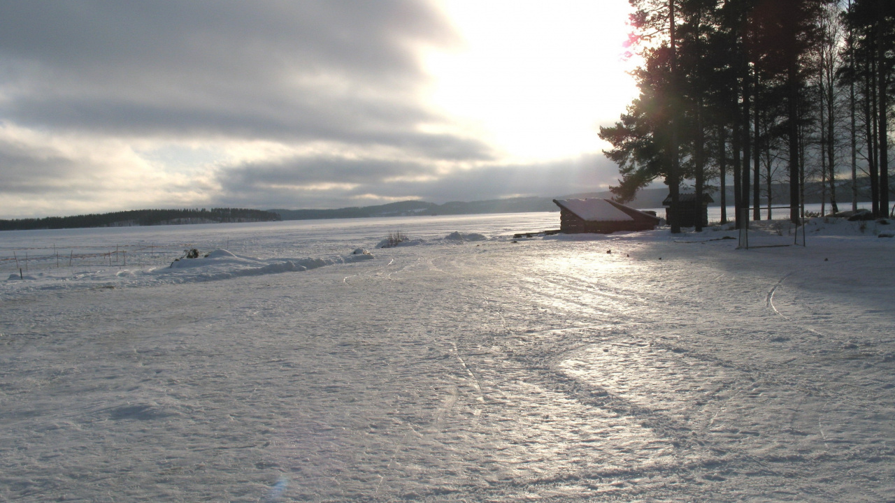 Árboles Verdes Sobre Suelo Cubierto de Nieve Bajo el Cielo Nublado Blanco Durante el Día. Wallpaper in 1280x720 Resolution