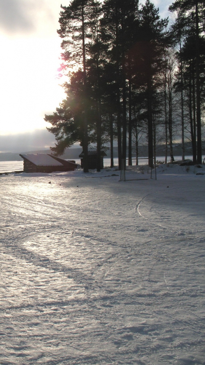 Arbres Verts Sur Sol Couvert de Neige Sous un Ciel Nuageux Blanc Pendant la Journée. Wallpaper in 720x1280 Resolution