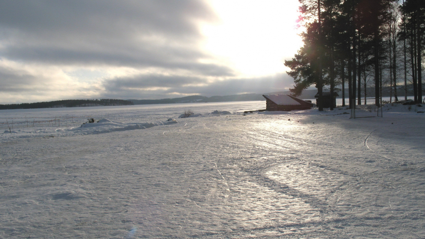 早上, 阳光, 地平线, 雪花, 冻结 壁纸 1366x768 允许