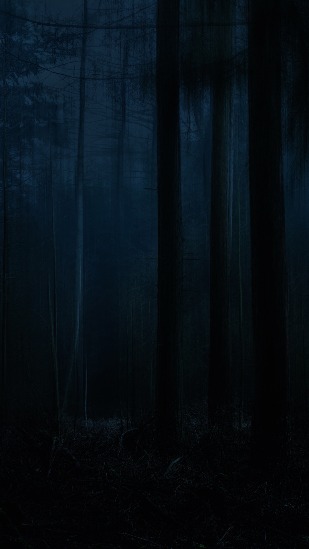 Natur, Naturlandschaft, Holz, Stamm, Terrestrische Pflanzen. Wallpaper in 1080x1920 Resolution