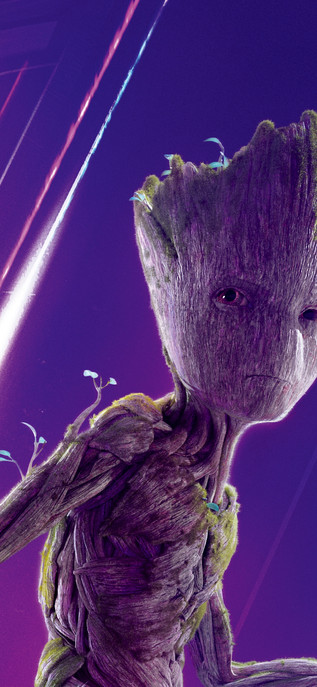 Bouton de Fleur Pourpre en Photographie Rapprochée. Wallpaper in 1242x2688 Resolution