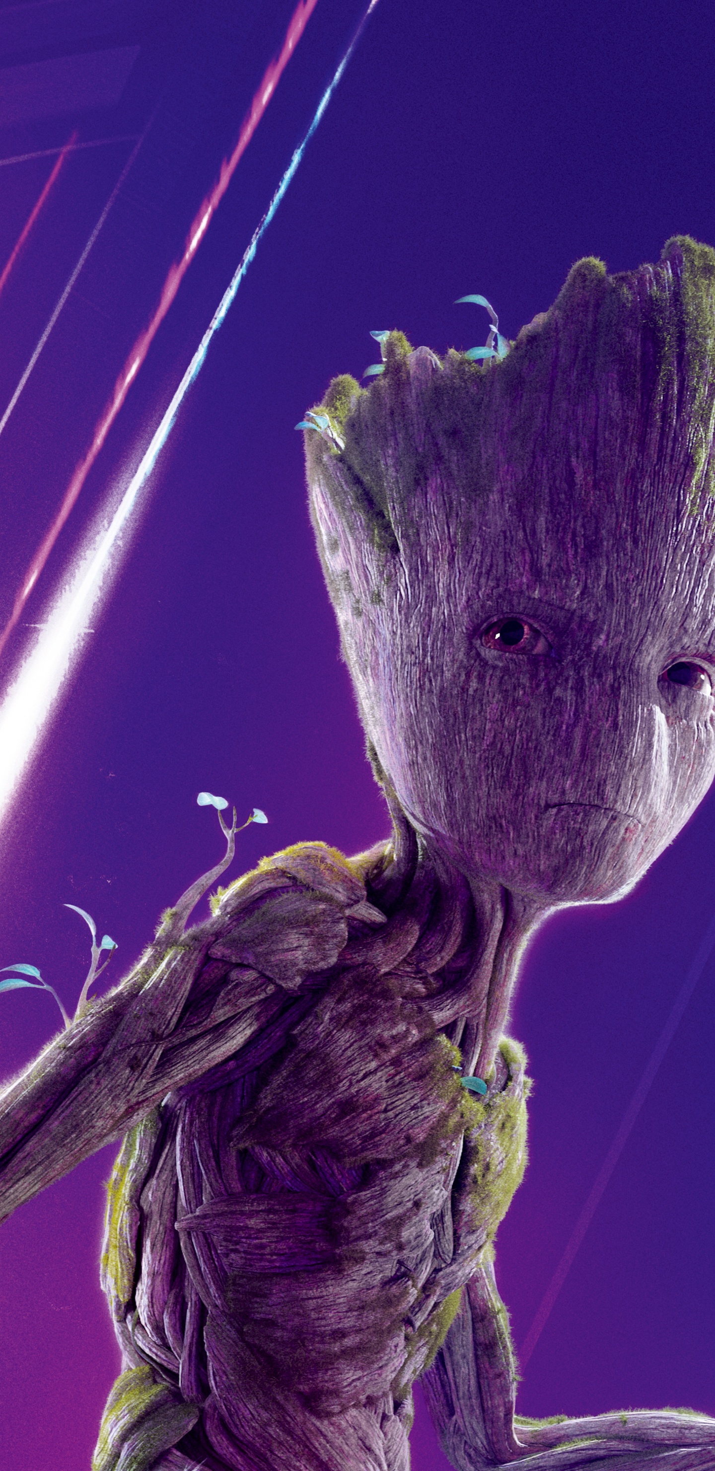 Lila Blütenknospe in Nahaufnahmen. Wallpaper in 1440x2960 Resolution