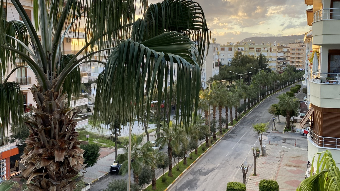 Palme, Cloud, Baum, Städtebau, Biome. Wallpaper in 1366x768 Resolution