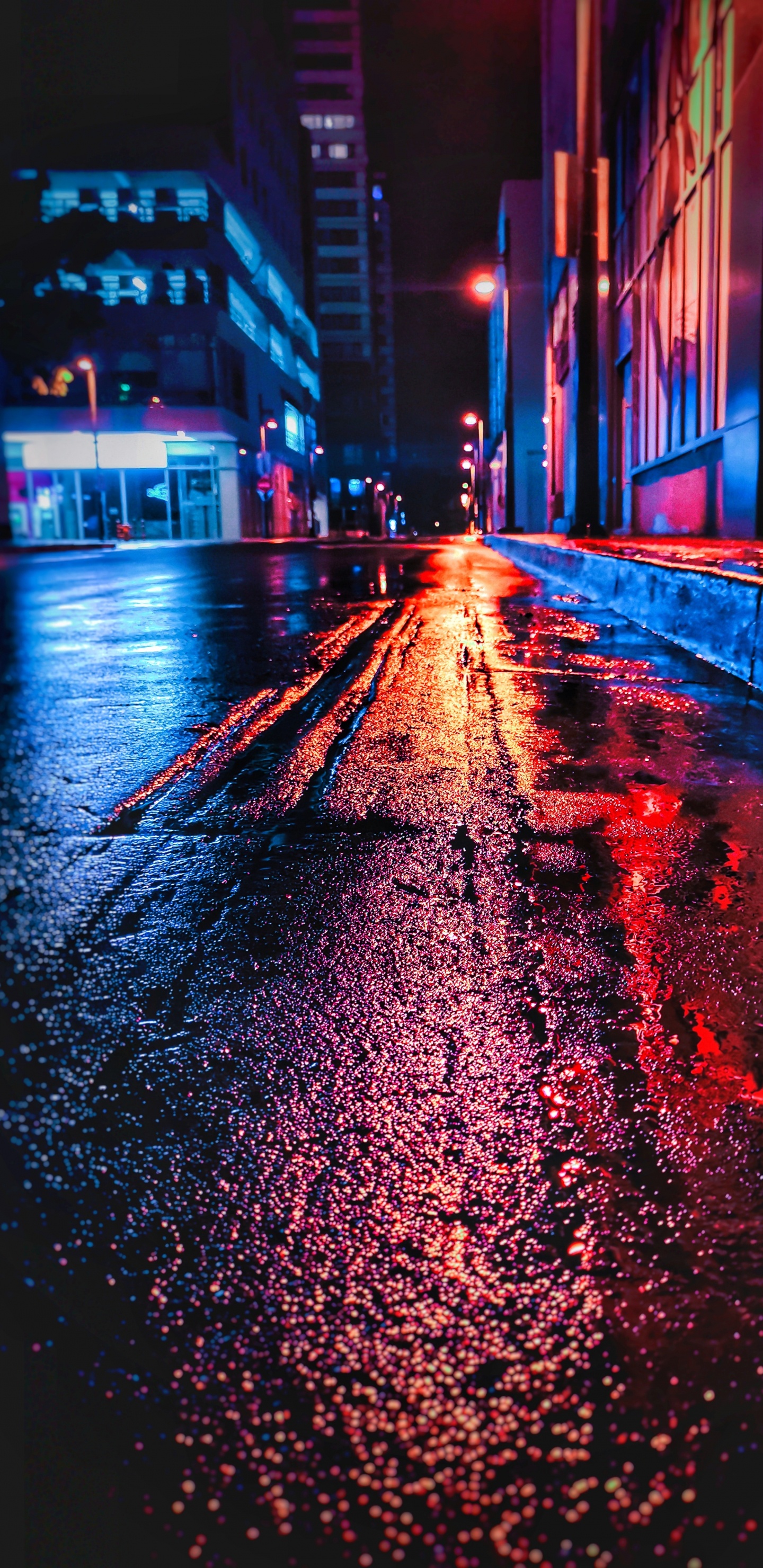 Water, Automotive Lighting, Street Light, Infrastructure, Road Surface. Wallpaper in 1440x2960 Resolution