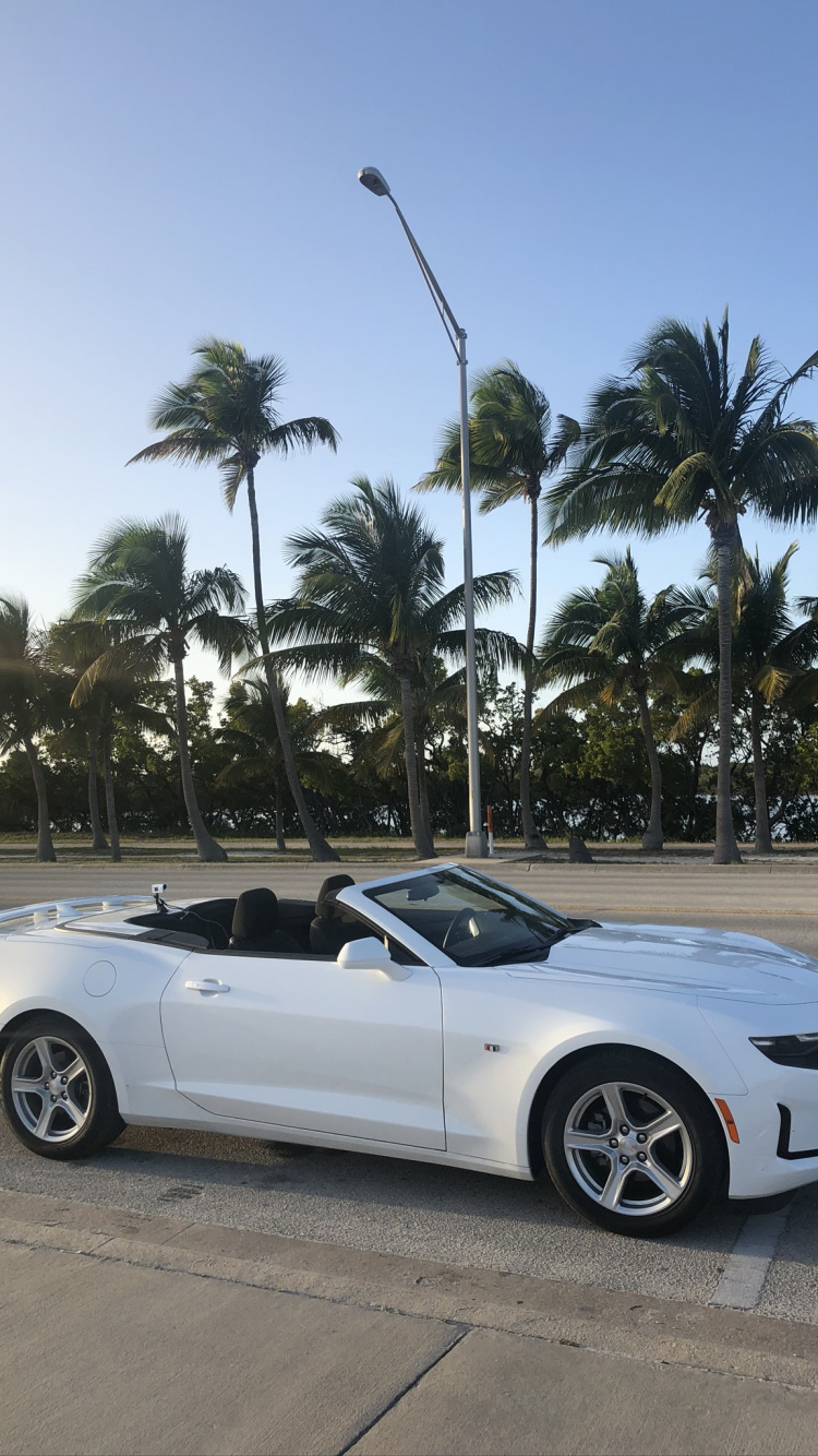 Chevrolet Camaro, Miami, Cabrio, König, Tire. Wallpaper in 750x1334 Resolution