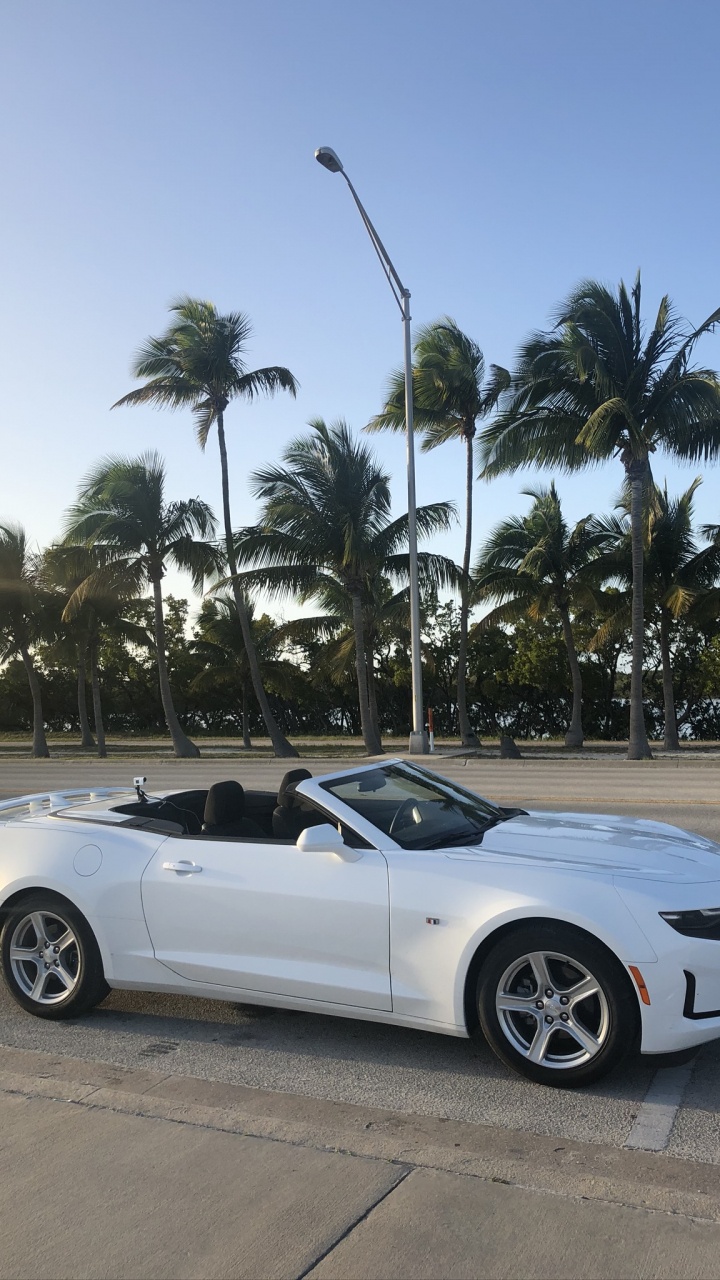 Chevrolet Camaro, Miami, Convertible, Rey, Auto Compacto. Wallpaper in 720x1280 Resolution