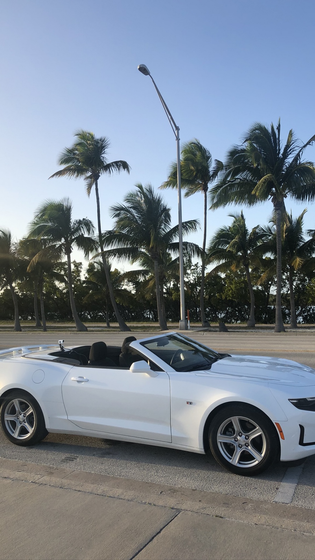 Chevrolet Camaro, Miami, Convertible, Roi, Voiture Compacte. Wallpaper in 1080x1920 Resolution