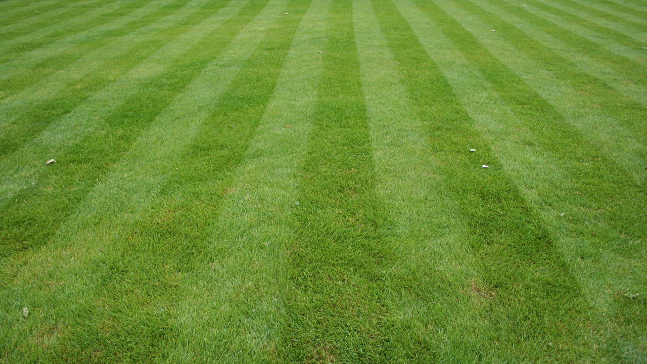 草坪, 人造草坪, 院子里, 绿色的, 草 壁纸 1280x720 允许