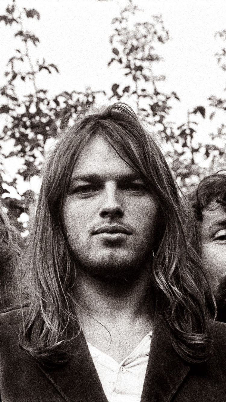 Pink Floyd, Hair, Facial Hair, Human, Beard. Wallpaper in 750x1334 Resolution