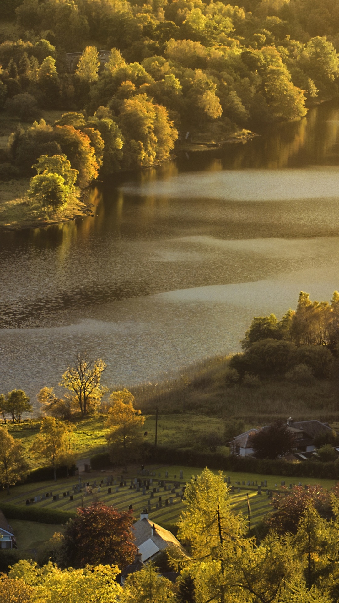 Nature, Water, Water Resources, Plant, Plant Community. Wallpaper in 1080x1920 Resolution