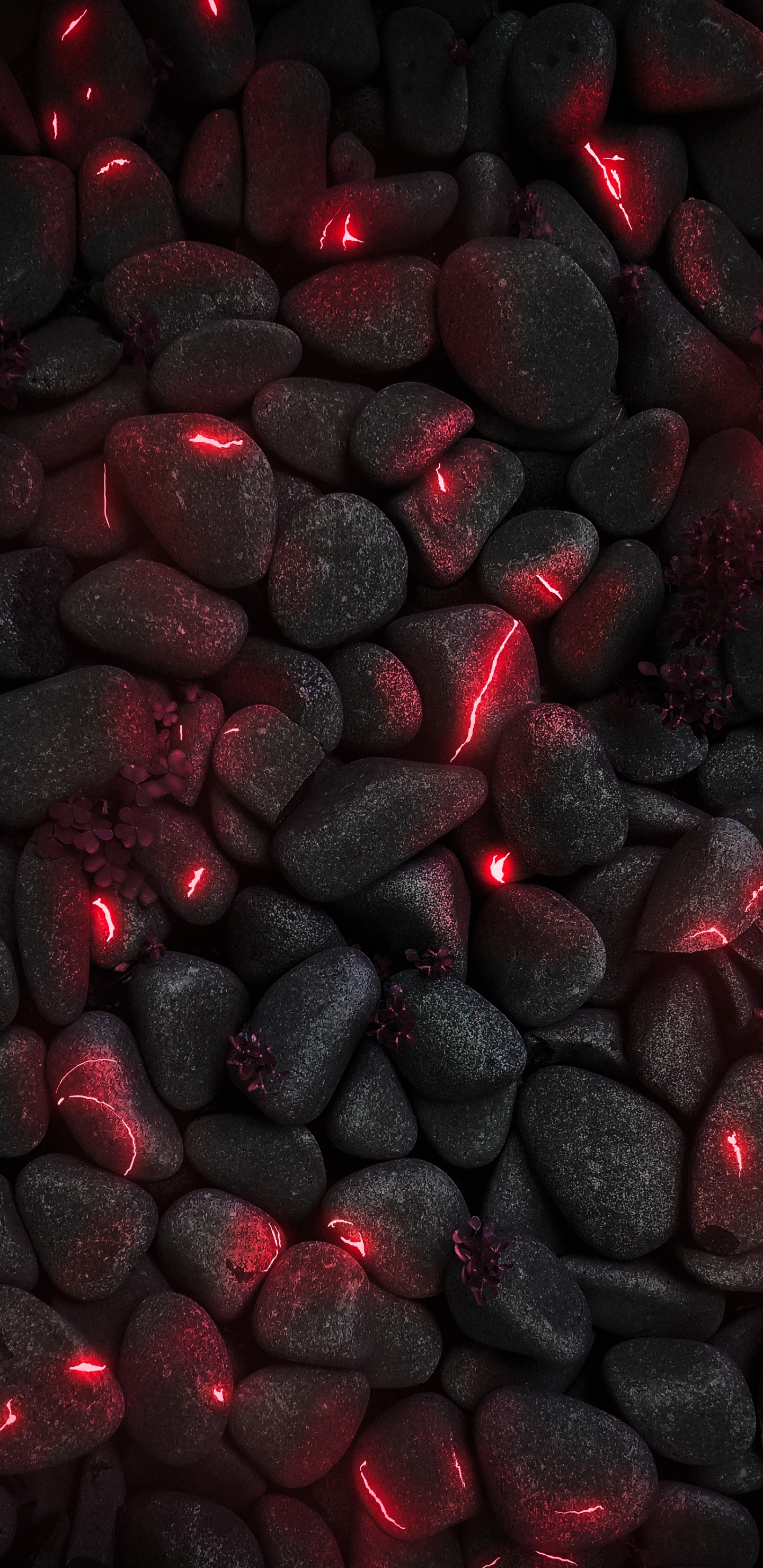 Smartphone, Ios, Automotive Lighting, Automotive Tire, Plant. Wallpaper in 1440x2960 Resolution