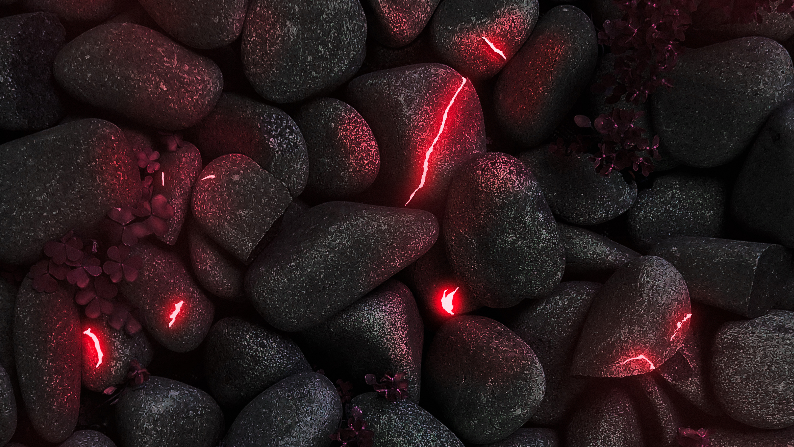 Smartphone, Ios, Automotive Lighting, Automotive Tire, Plant. Wallpaper in 2560x1440 Resolution