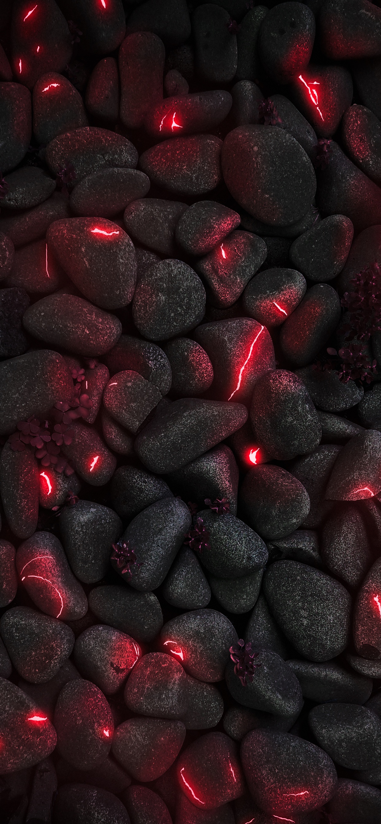 智能手机, Ios, 车灯, 汽车轮胎, 红色的 壁纸 1242x2688 允许