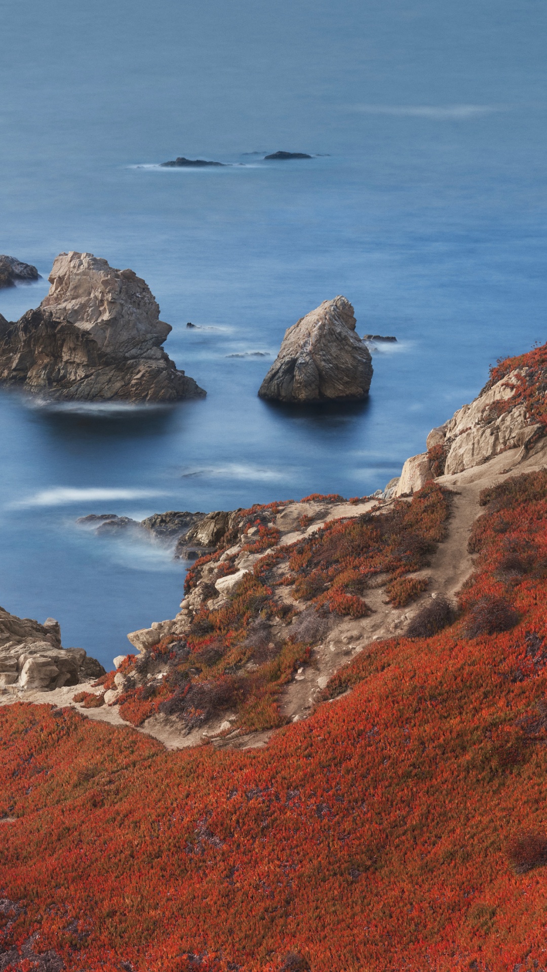 Apple, IPhone 12 Pro, IPhone 12 Pro Max, IPhone XS Max, MacOS Big Sur. Wallpaper in 1080x1920 Resolution