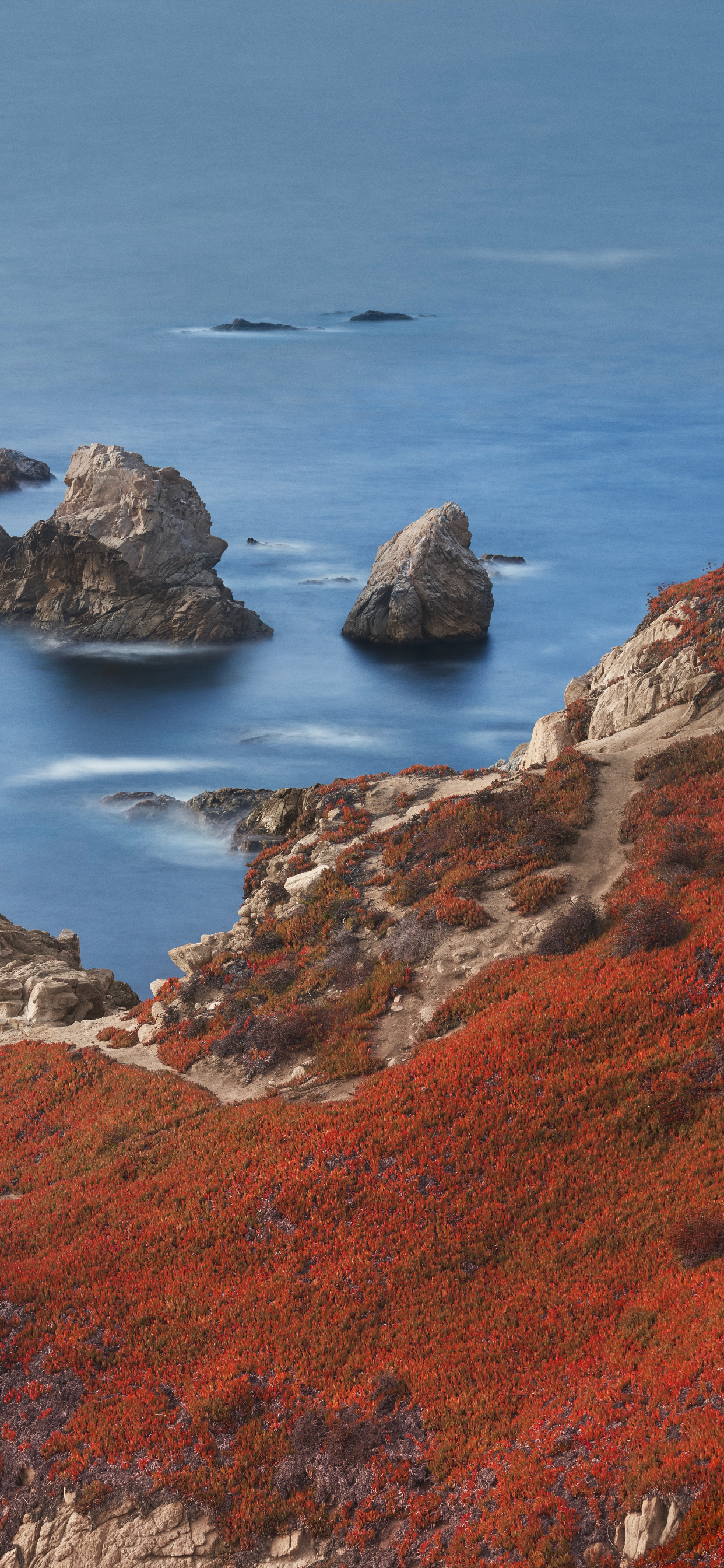 IPhone 12 Pro, IPhone 12 Pro Max, IPhone XS Max, MacOS Big Sur, Apple. Wallpaper in 1242x2688 Resolution