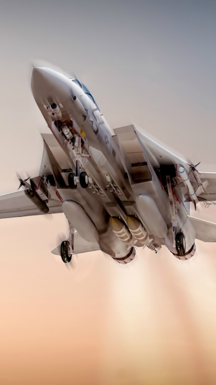军用飞机, 航空, 空军, 麦克道格拉斯f15鹰, 麦克道格拉斯F-4幽灵II 壁纸 720x1280 允许