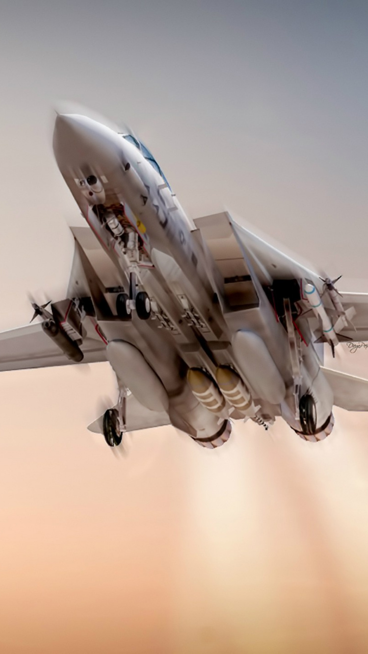 军用飞机, 航空, 空军, 麦克道格拉斯f15鹰, 麦克道格拉斯F-4幽灵II 壁纸 750x1334 允许