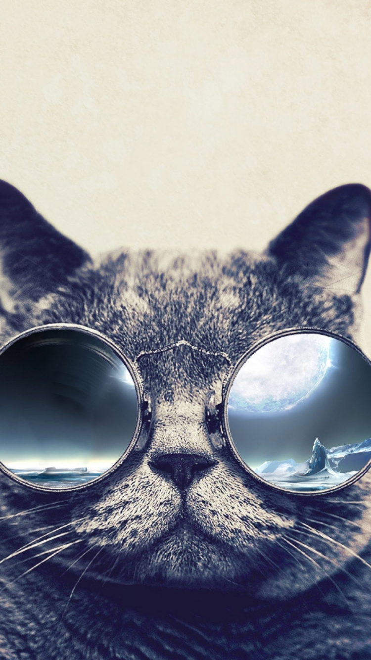 Lunettes de Soleil Argentées à Lentilles Œil de Chat Tabby. Wallpaper in 750x1334 Resolution