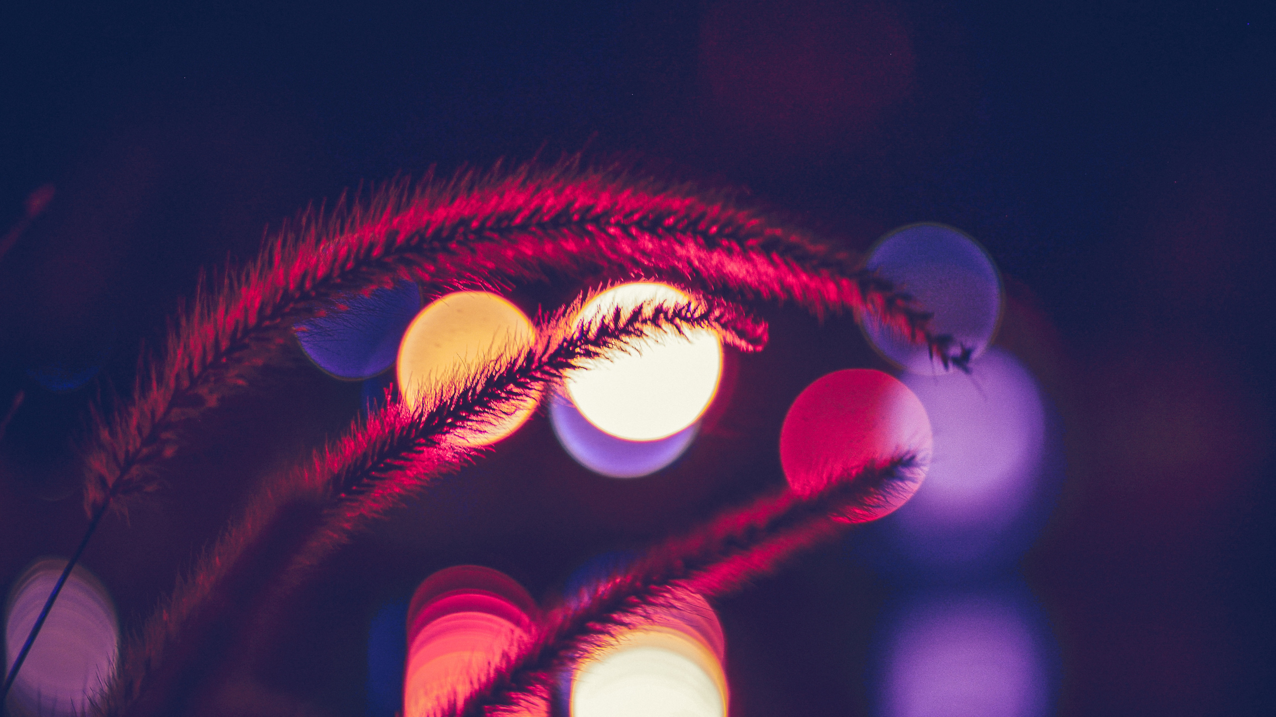 Red and Yellow Lights During Night Time. Wallpaper in 2560x1440 Resolution